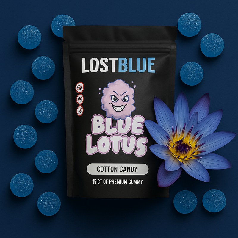 Coming Soon - Lost Blue blog article